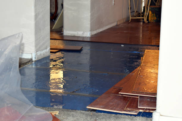 Professional Water Damage Restoration technician working in Southport, IN